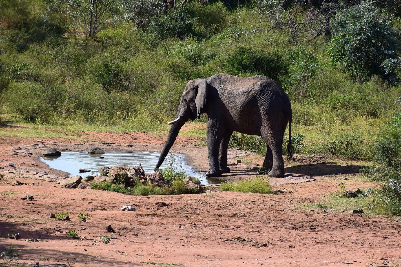 Sekala Private Game Lodge Welgevonden Game Reserve Exteriér fotografie